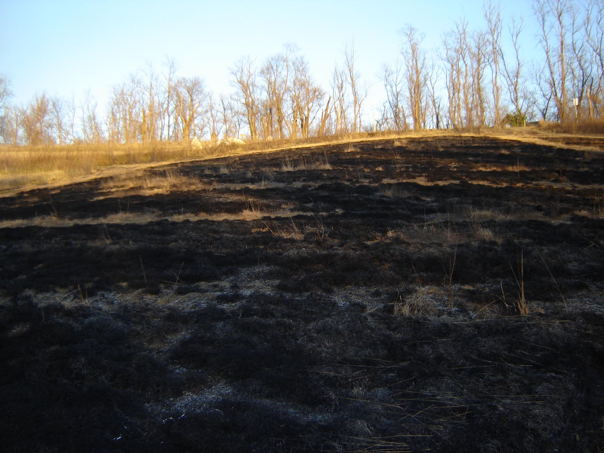 Will Weed And Feed Burn My Grass - Will Liquid Fertilizer Burn Your Grass?